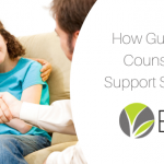 how guidance counselors support students blog post image